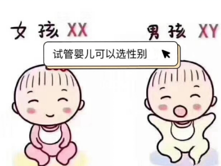 上海赴美试管婴儿服务